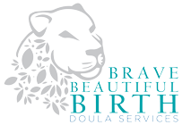 northeast ohio doula services